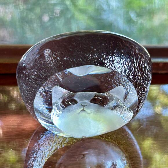 Vintage Clear Glass Cat Face Paperweight, Frosted Intaglio Kitty - Picture 4 of 12